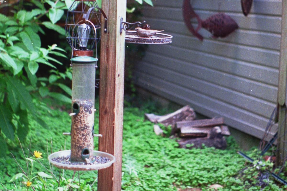 Por qué los libros de electrónica de los 80 siguen siendo los mejores maestros