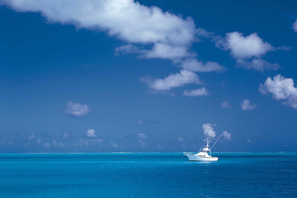 La IA no piensa: por qué los modelos grandes son espejos, no cerebros